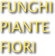 FUNGHI
PIANTE
FIORI