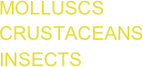 MOLLUSCS CRUSTACEANSINSECTS
