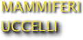 MAMMIFERI
UCCELLI