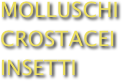 MOLLUSCHI
CROSTACEI
INSETTI