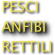 PESCI
ANFIBI
RETTILI